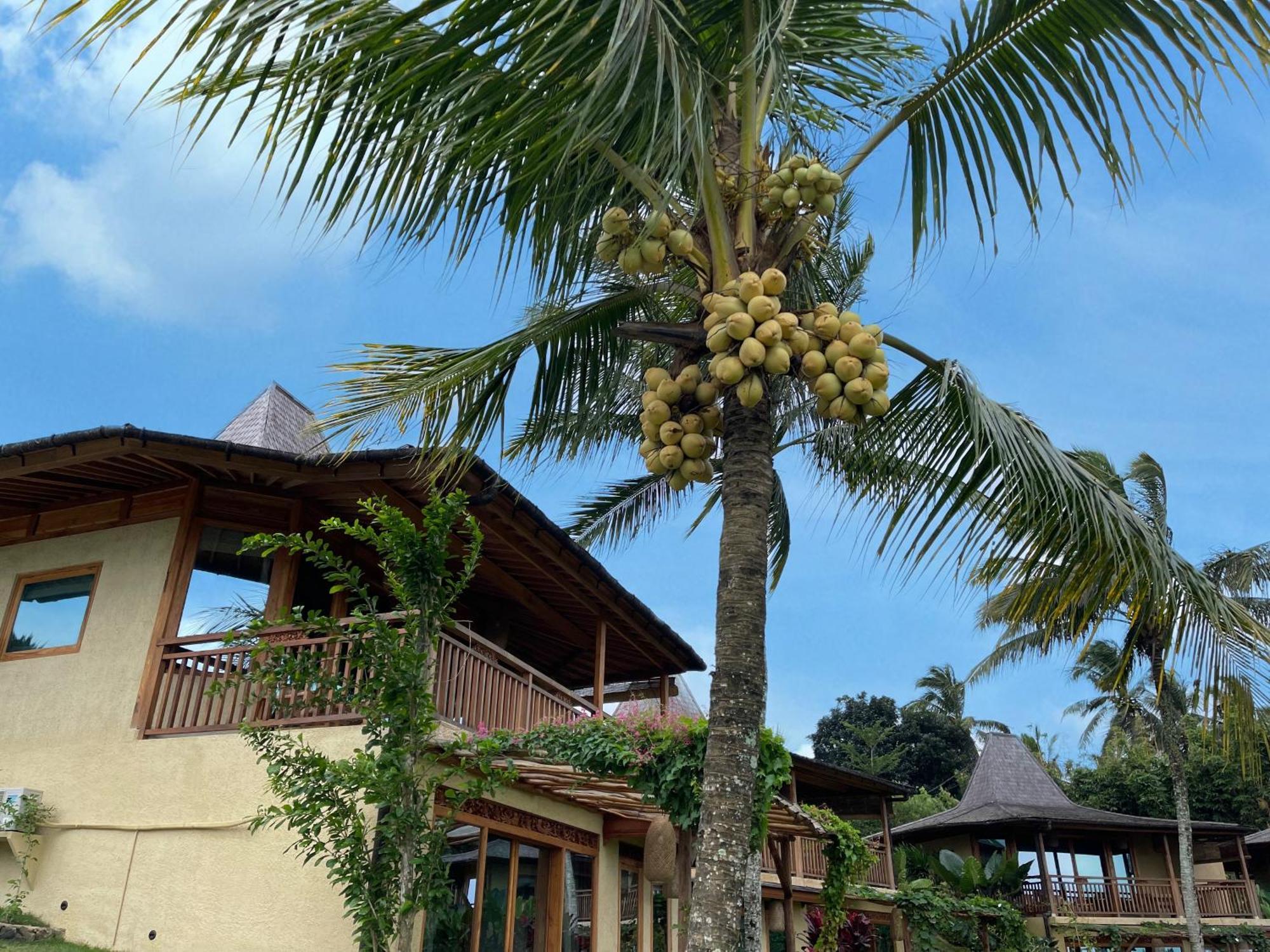 Puri Dajuma Terrace Eco Lodge & Spa Selemadeg (Bali) Exterior foto