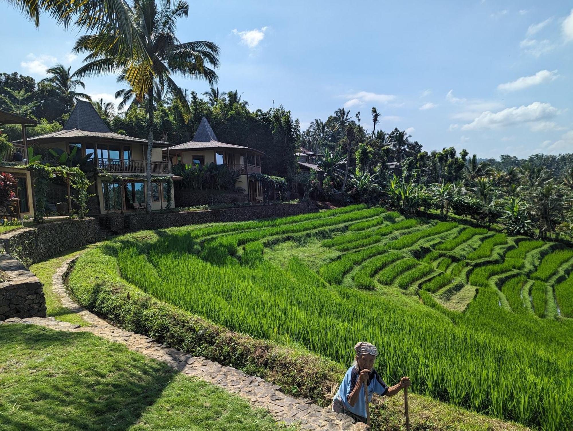 Puri Dajuma Terrace Eco Lodge & Spa Selemadeg (Bali) Exterior foto