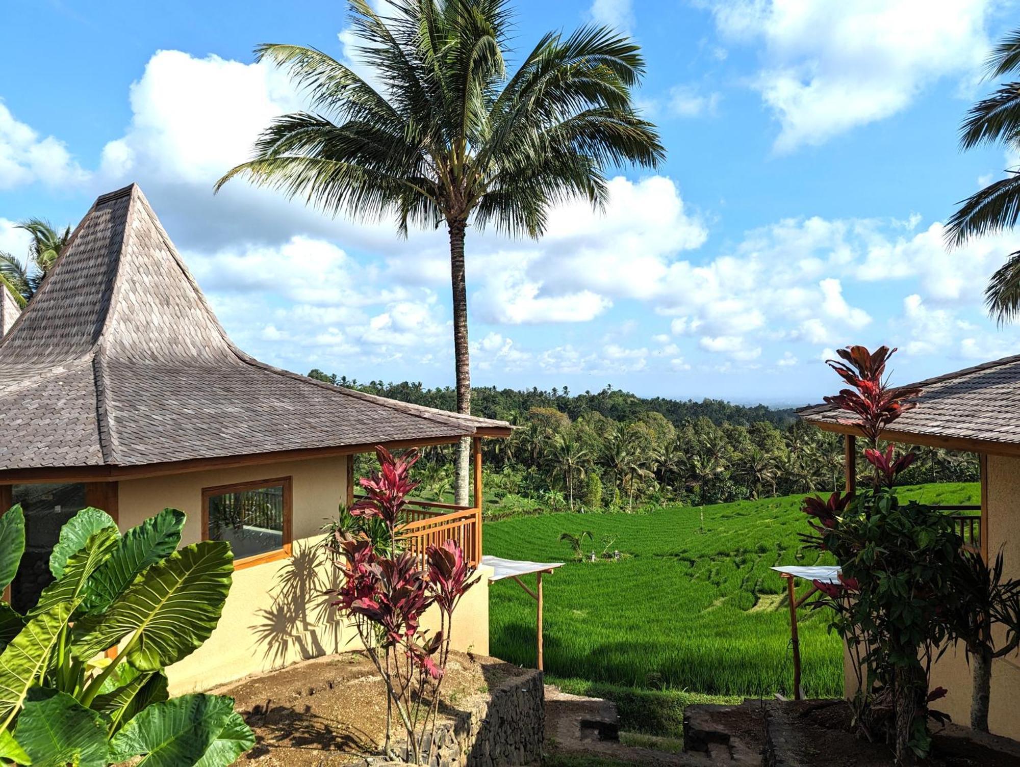 Puri Dajuma Terrace Eco Lodge & Spa Selemadeg (Bali) Exterior foto