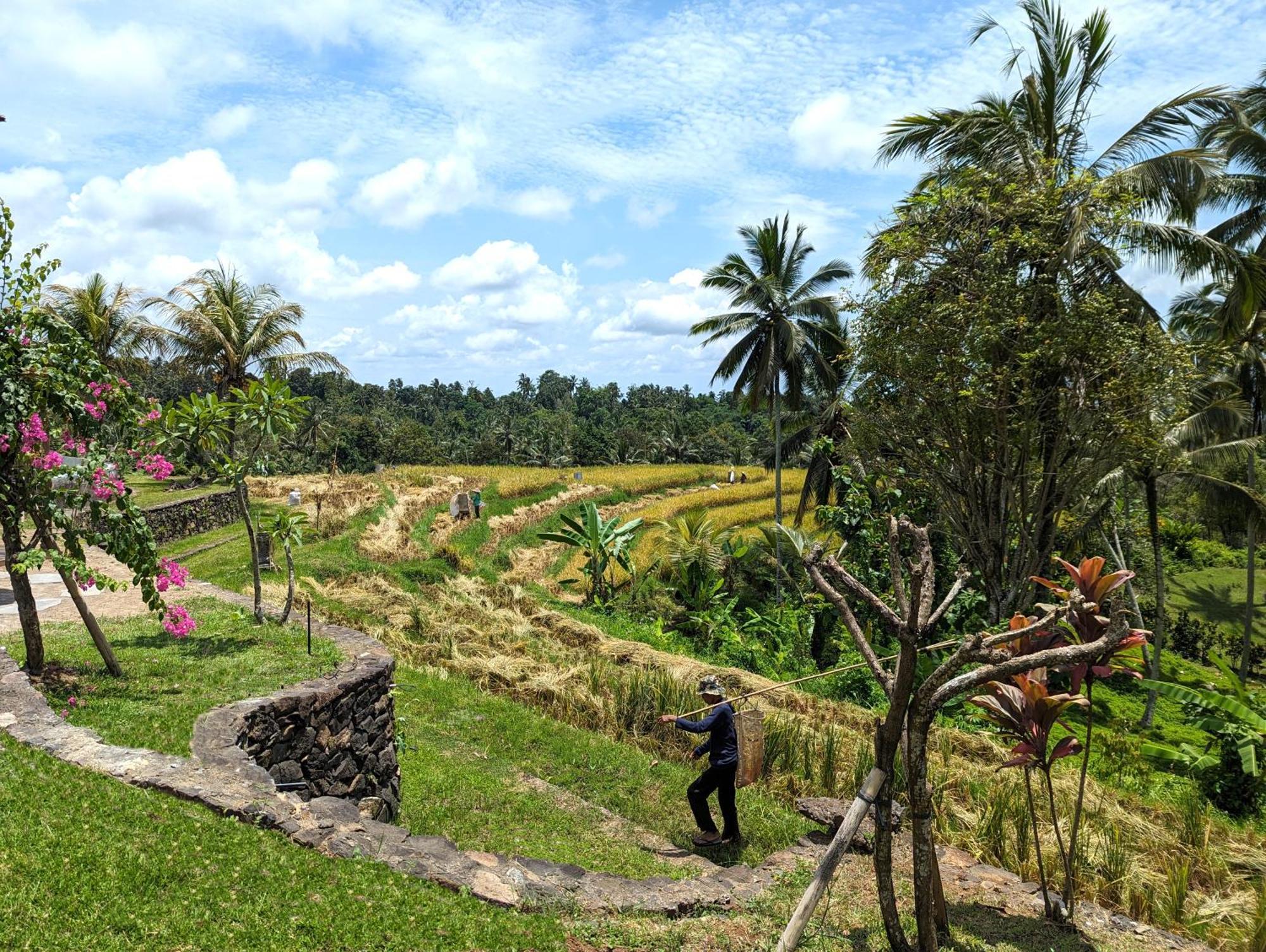 Puri Dajuma Terrace Eco Lodge & Spa Selemadeg (Bali) Exterior foto